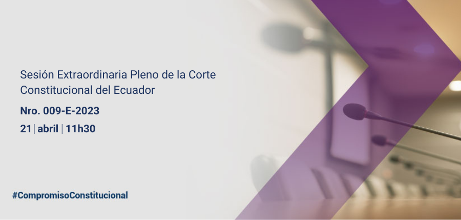 Pleno web interna (1)