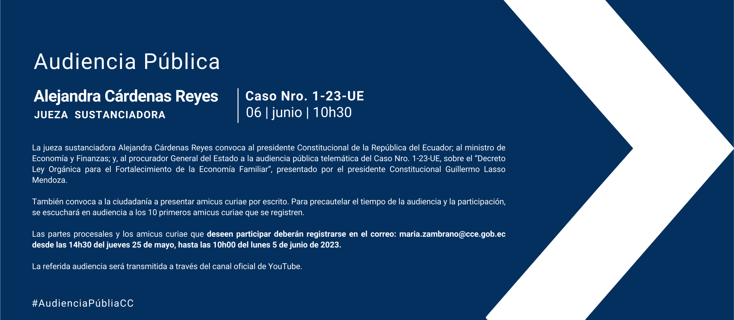 Audiencia WEB (3)