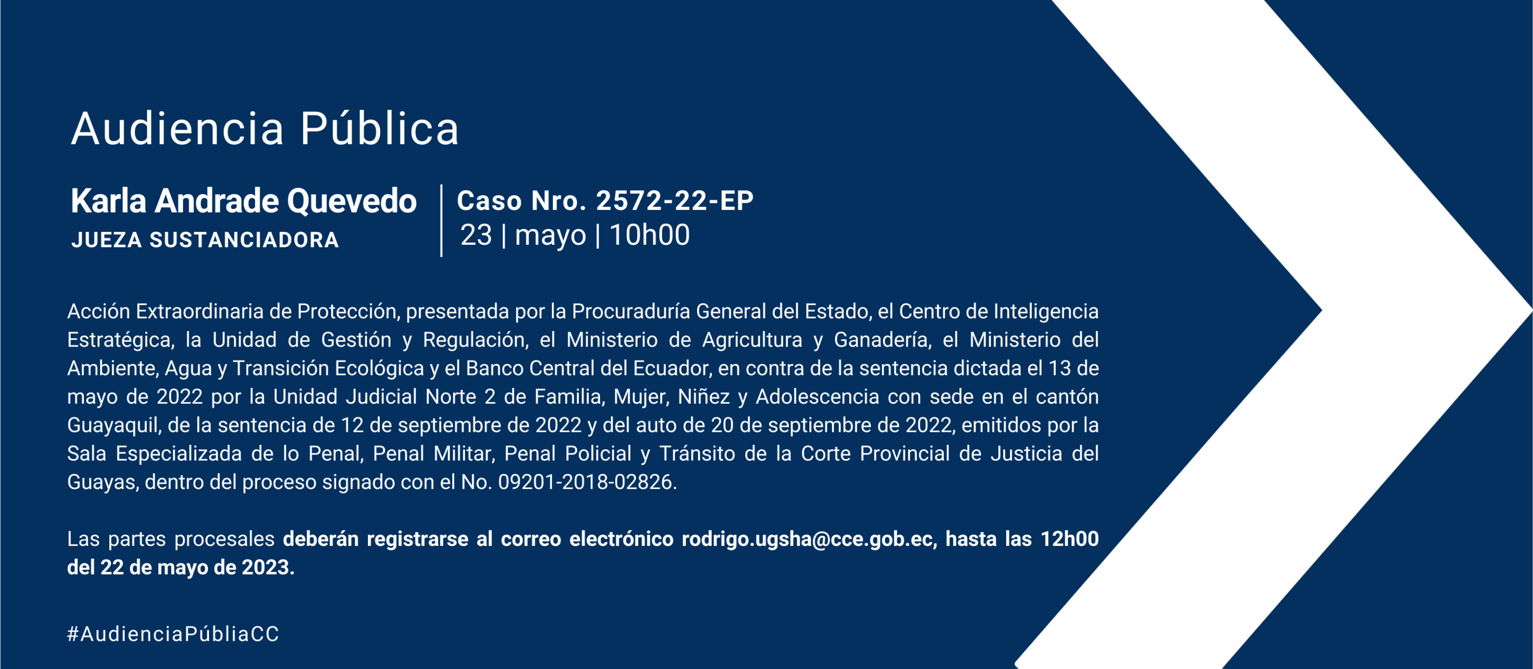 Audiencia WEB (3)