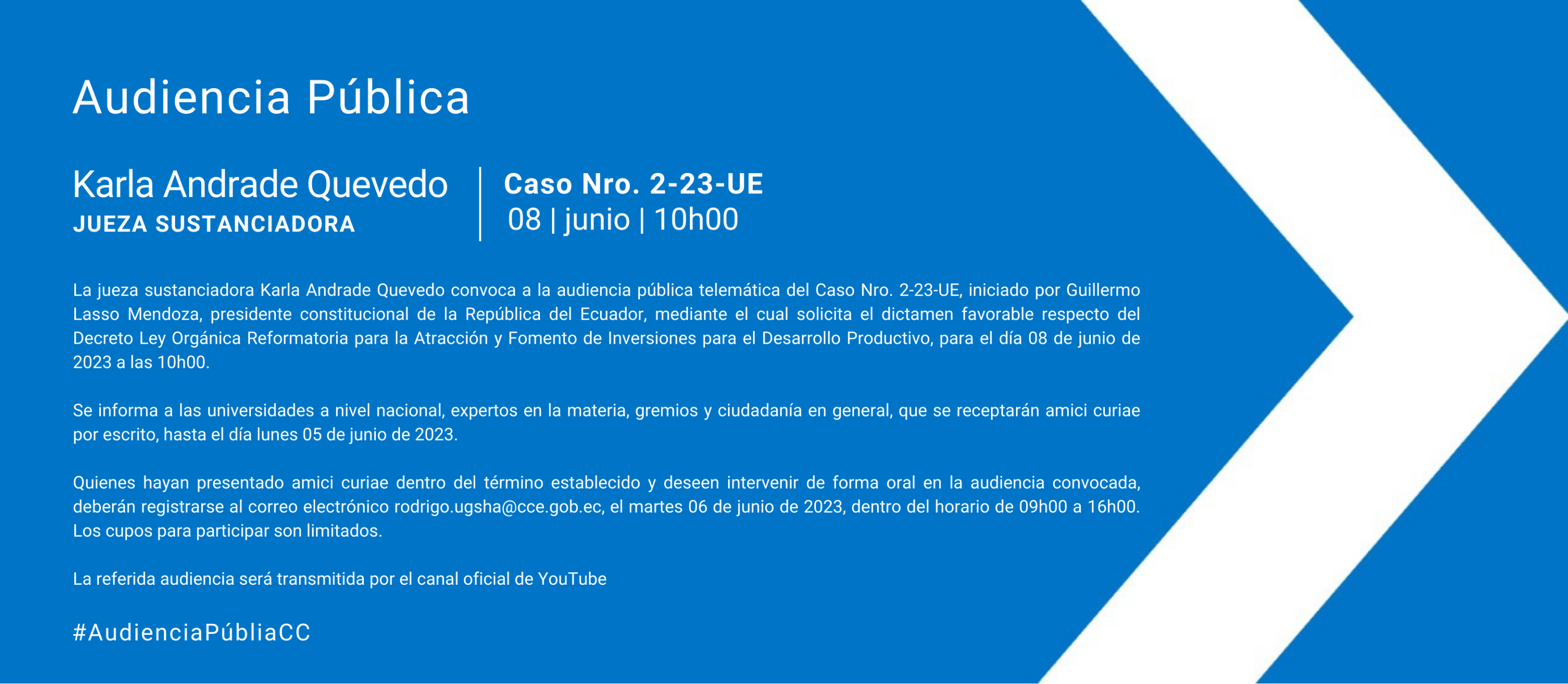 Audiencia WEB (5)