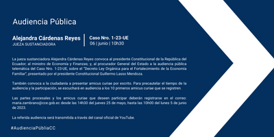 Audiencia Pública telemática del Caso Nro. 1-23-UE