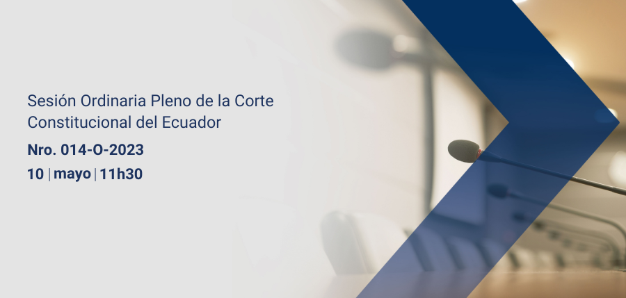 Pleno web interna (4)