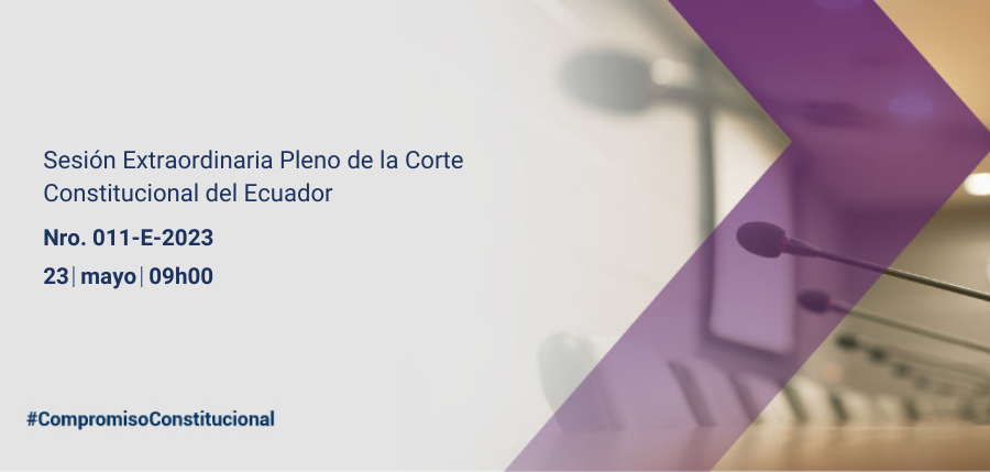 Pleno web interna (6)
