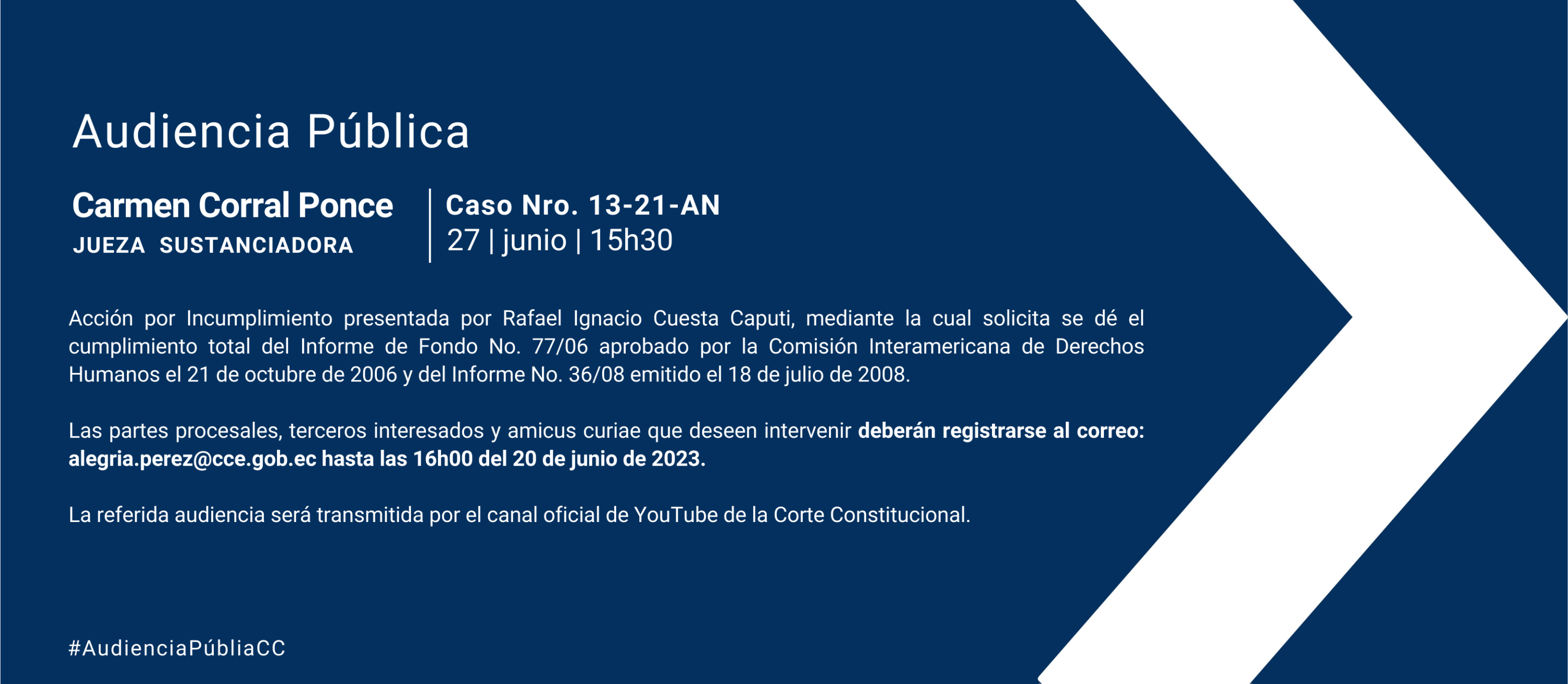 Audiencia WEB (4)