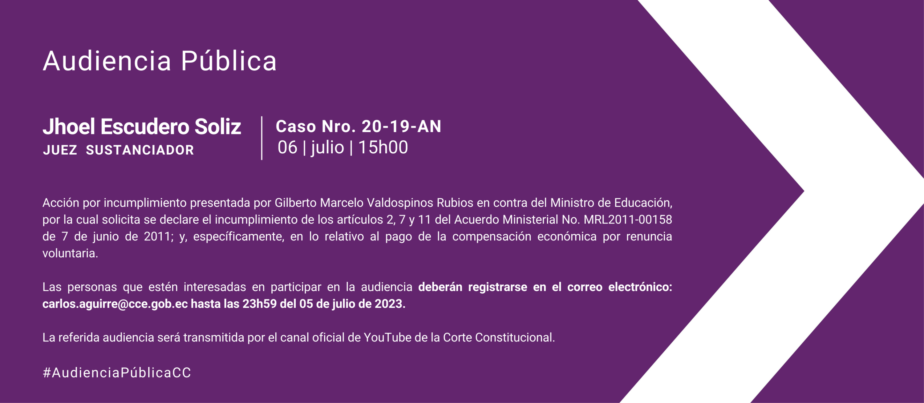Audiencia WEB (4)