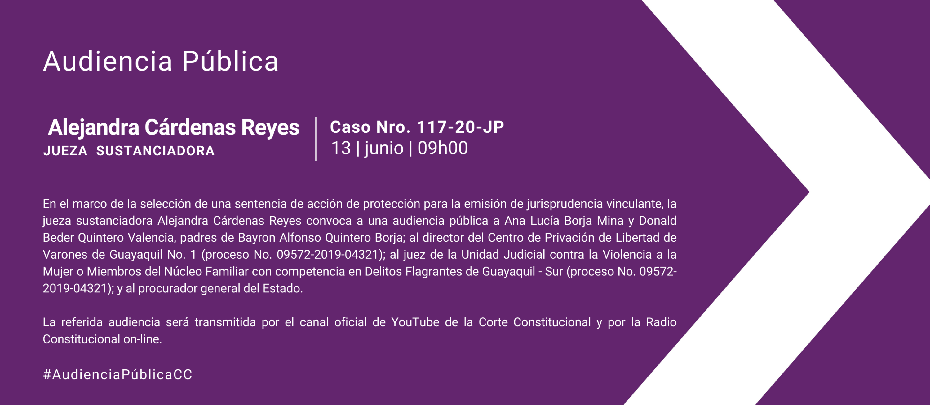 Audiencia WEB (4)