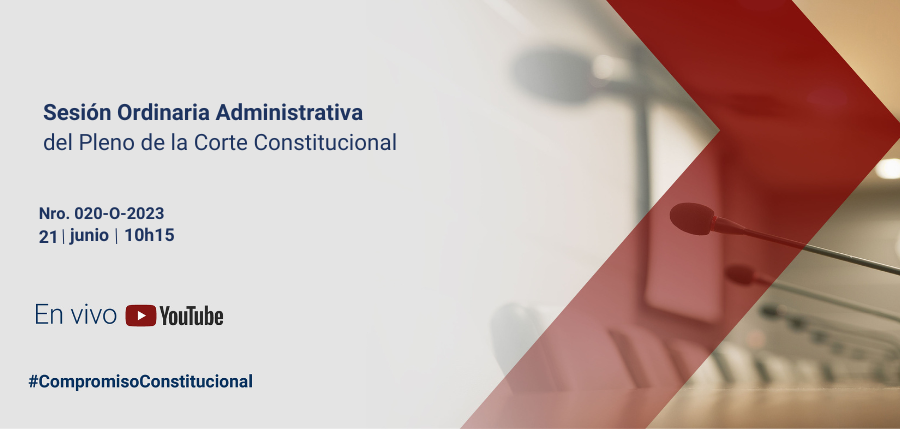 Pleno web interna (12)