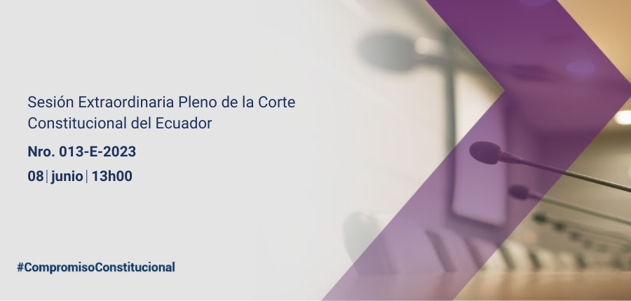 Pleno web interna (9)