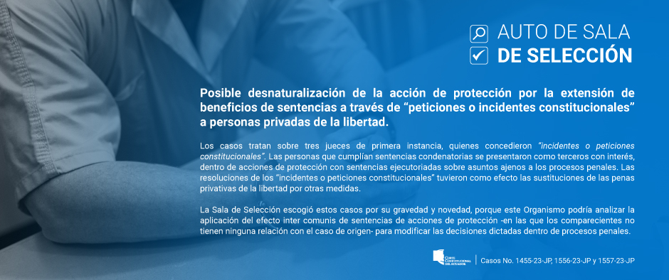 AUTO-DE-SELECCIÓN-WEB-3