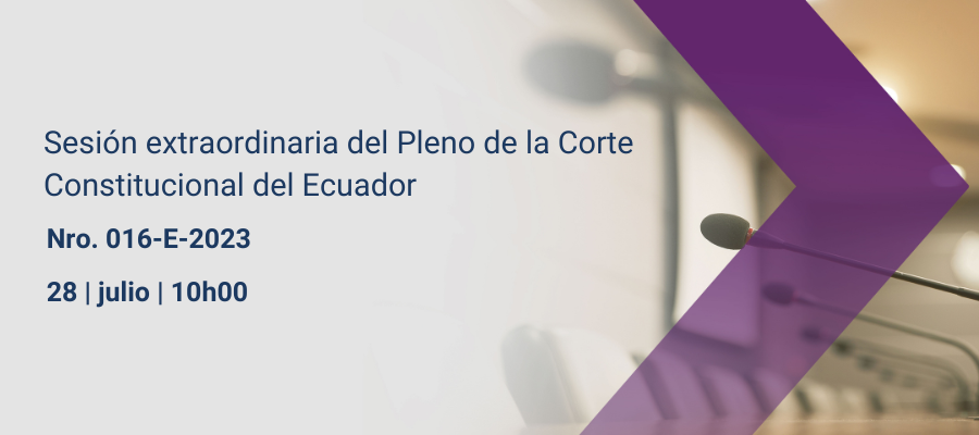 Sesiones pleno web interna (1)