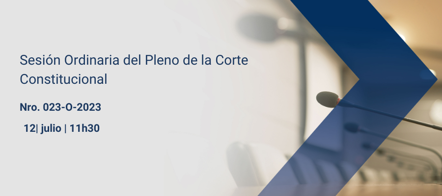 Sesiones pleno web interna