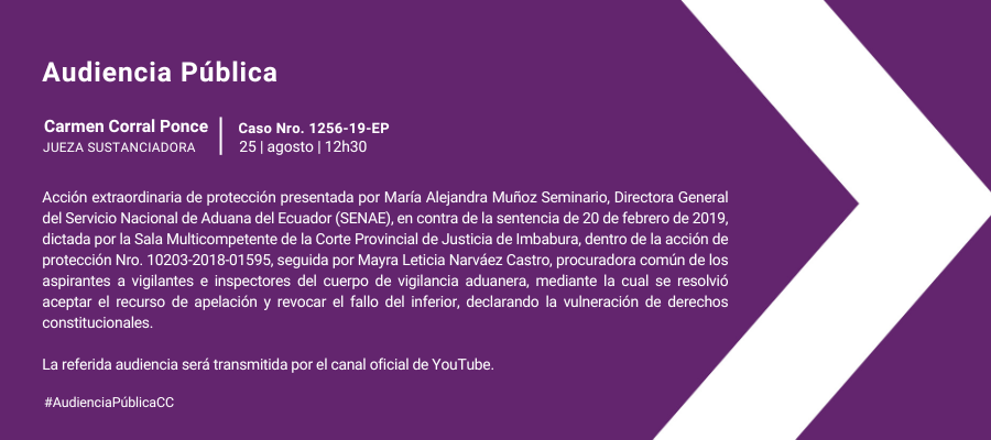 Audiencia web interna (4)