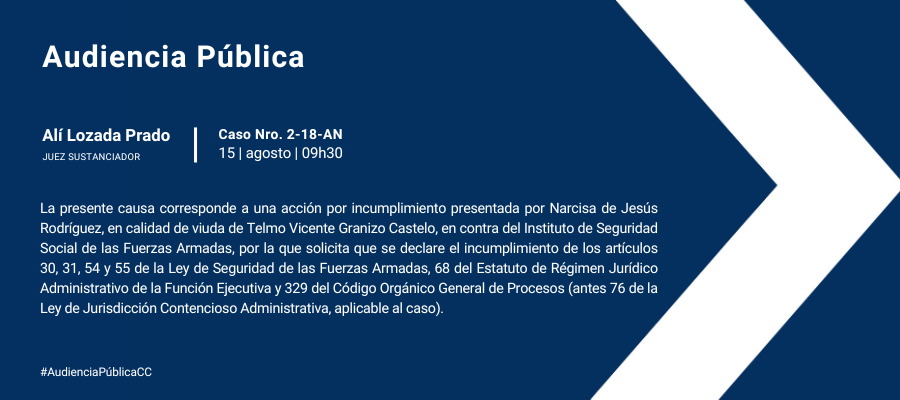 Audiencia web interna