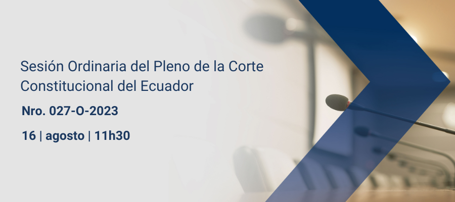 Sesiones pleno web interna (6)