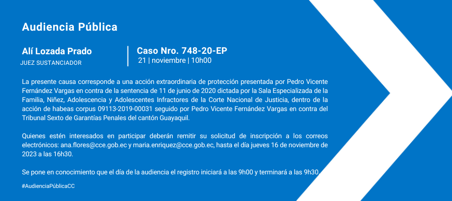 Audiencia web interna (10)