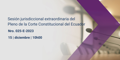 Sesión jurisdiccional extraordinaria 025-E-2023