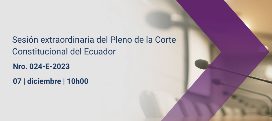 Sesiones pleno web interna (21)