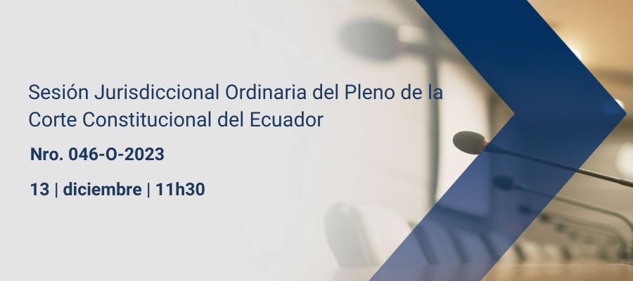 Sesiones pleno web interna (22)