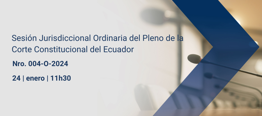 Sesiones pleno web interna (27)