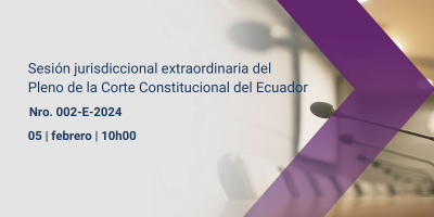 Sesión jurisdiccional extraordinaria Nro. 002-E-2024