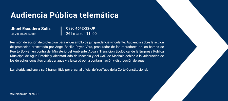 Audiencia web interna