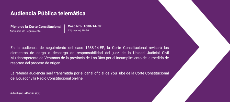 Audiencia web interna (22)