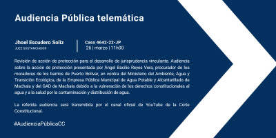 Audiencia Pública telemática Caso Nro. 4642-22-JP