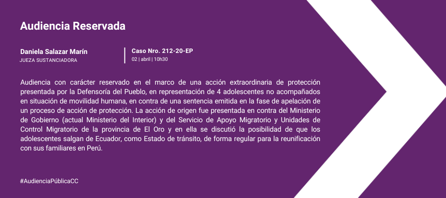 Audiencia web interna (25)