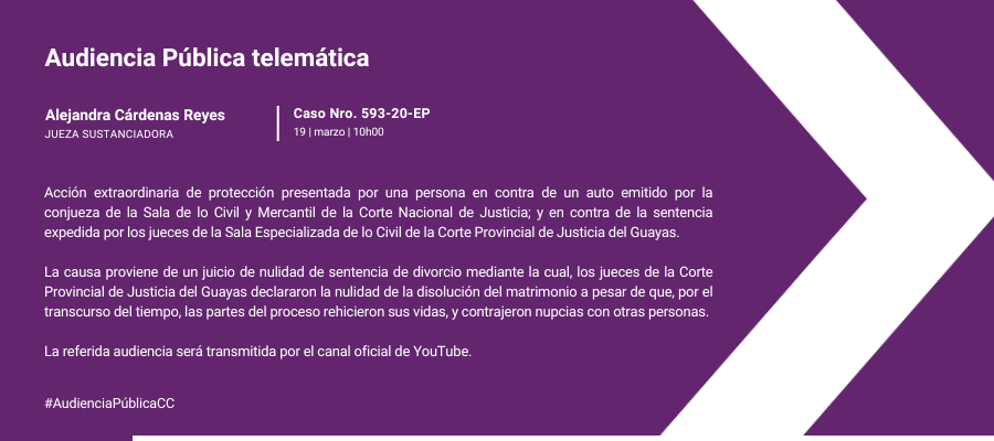 Audiencia web interna (27)