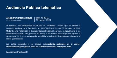 Audiencia pública telemática del Caso Nro. 13-20-IA.