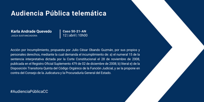 Audiencia Pública telemática del Caso Nro. 50-21-AN.