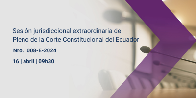 Sesión jurisdiccional extraordinaria 008-E-2024