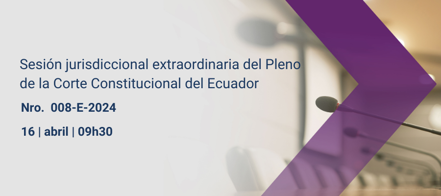 Sesiones pleno web interna (40)