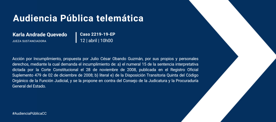 Audiencia web interna (31)