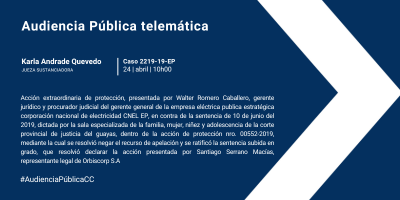 Audiencia Pública telemática del Caso Nro. 2219-19-EP