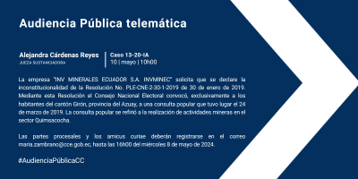 Audiencia Pública telemática del Caso Nro. 13-20-IA