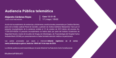 Audiencia pública telemática del Caso 12-21-IS.