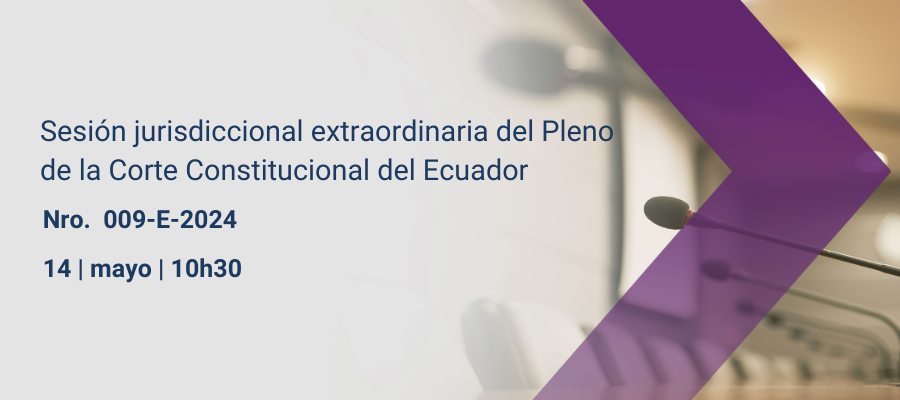 Sesiones pleno web interna (47)