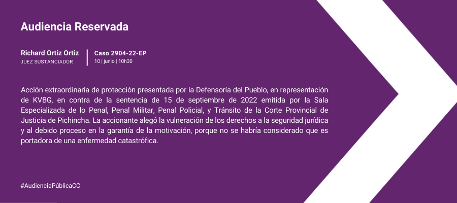 Audiencia web interna (35)