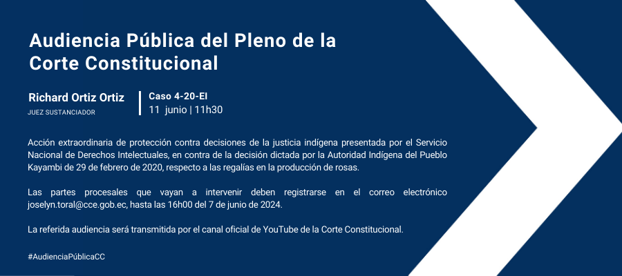 Audiencia web interna (36)