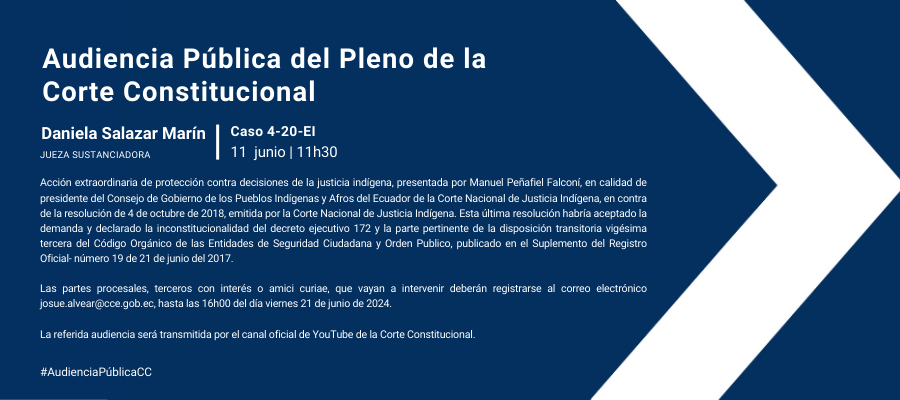 Audiencia web interna (38)