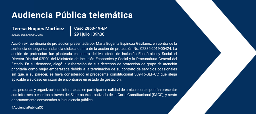 Audiencia web interna (42)
