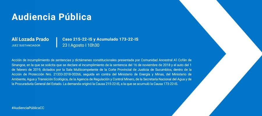 Audiencia Pública interna