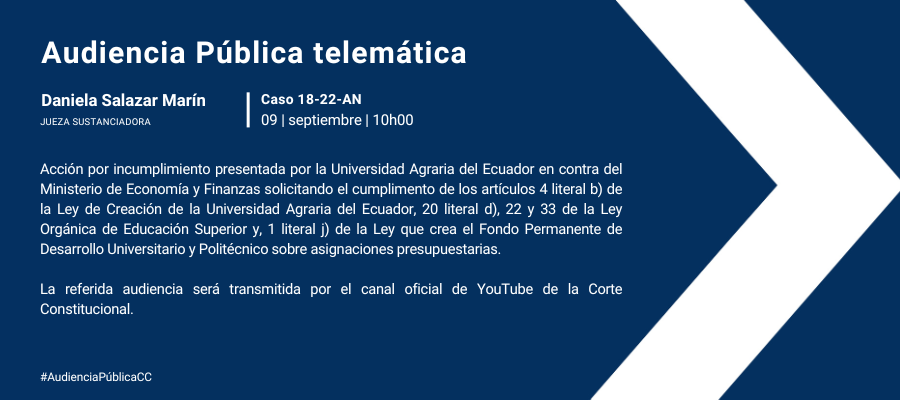 Copia de Audiencia web interna (2)