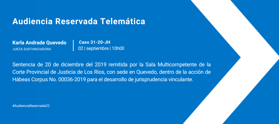 Copia de Audiencia web interna (3)