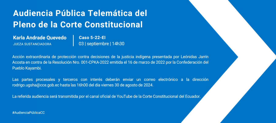 Copia de Audiencia web interna (4)