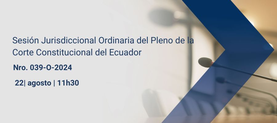 Sesiones pleno web interna