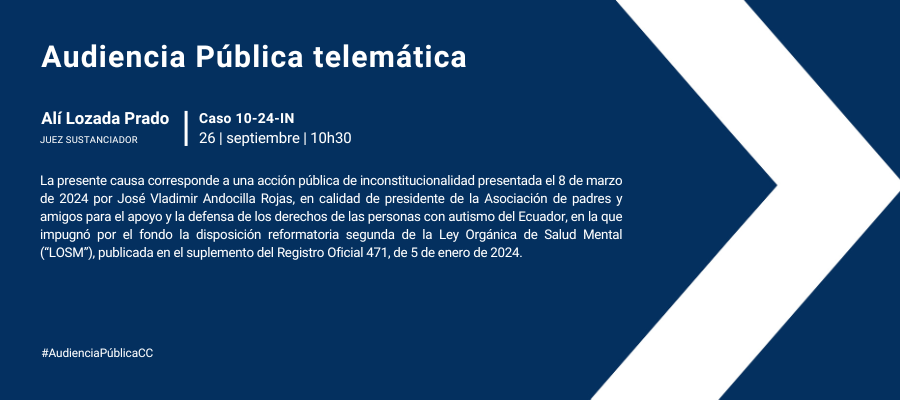 Audiencia web interna (1)