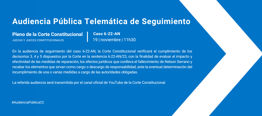 Audiencia web interna (8)