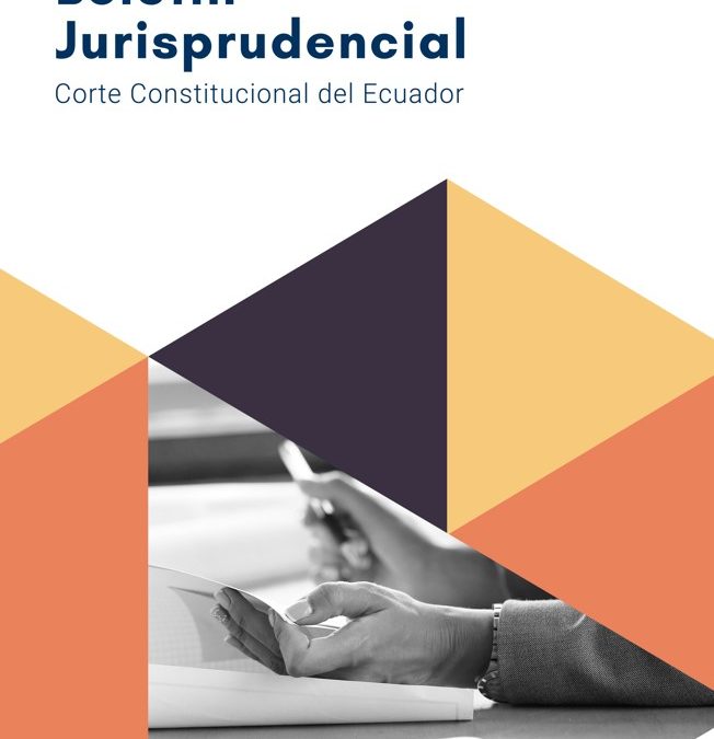 Boletín Jurisprudencial – Edición Noviembre 2024